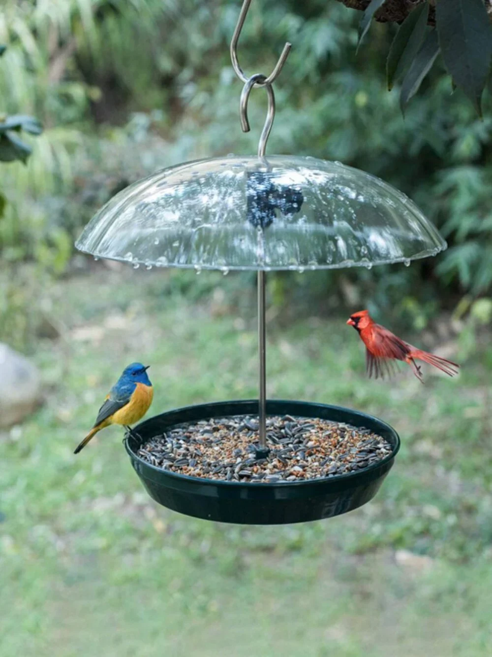 Outdoor Adjustable Platform Bird Feeder with Clear Dome(1 Pack)